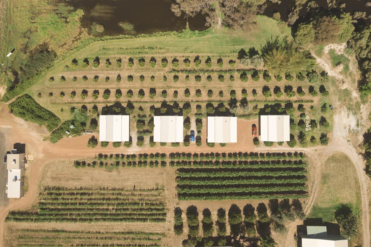 Swan Valley Sisters Henley Brook Eksteriør billede