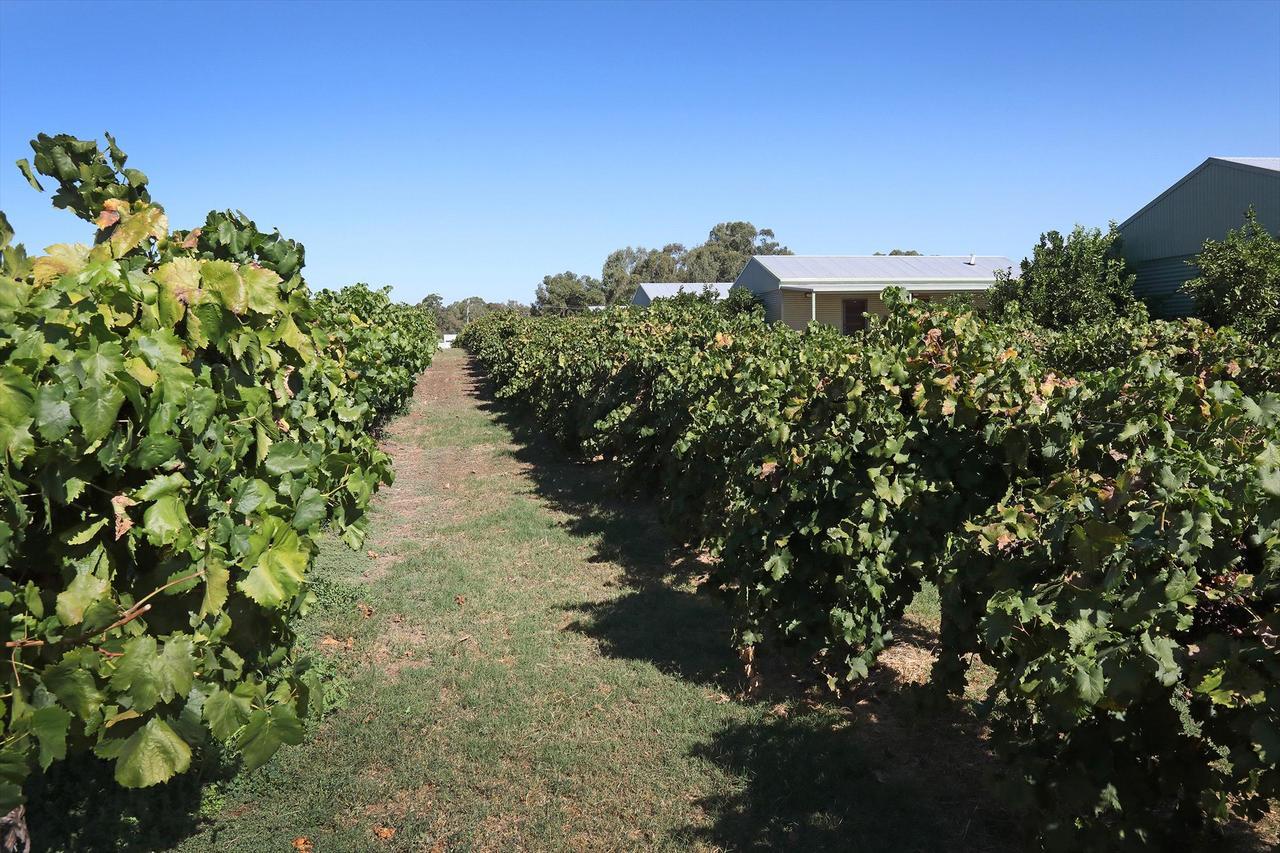 Swan Valley Sisters Henley Brook Eksteriør billede